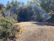 Enlarge photo 72