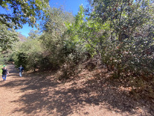 Enlarge photo 76