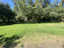 Enlarge photo 78