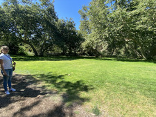 Enlarge photo 79