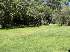 Enlarge photo 81