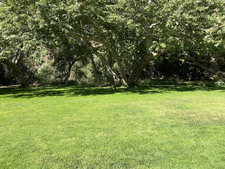 Enlarge photo 82