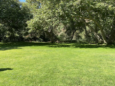 Enlarge photo 83