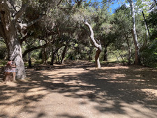 Enlarge photo 84