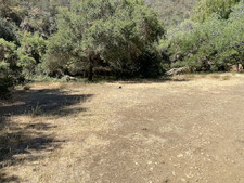 Enlarge photo 87