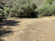 Enlarge photo 88