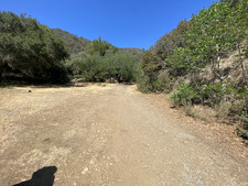 Enlarge photo 91