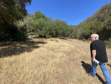 Enlarge photo 92