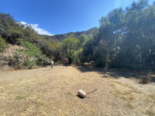 Enlarge photo 93