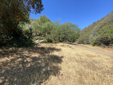Enlarge photo 97