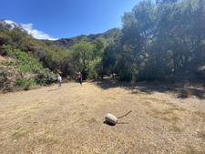 Enlarge photo 98