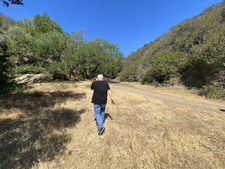 Enlarge photo 99