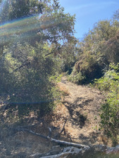 Enlarge photo 100