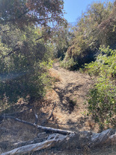 Enlarge photo 102