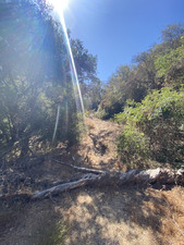 Enlarge photo 103