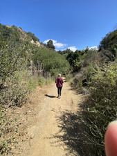 Enlarge photo 105