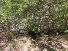 Enlarge photo 107