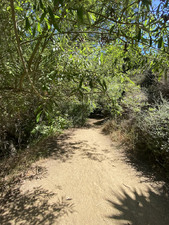 Enlarge photo 108