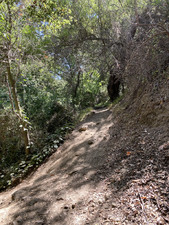 Enlarge photo 117