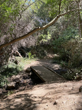 Enlarge photo 118