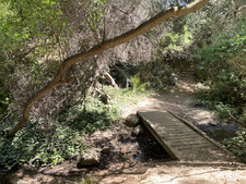 Enlarge photo 119