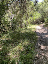 Enlarge photo 120
