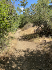 Enlarge photo 121