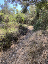 Enlarge photo 122