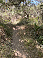Enlarge photo 123