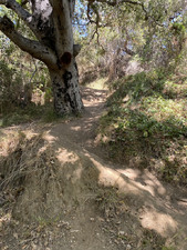 Enlarge photo 124