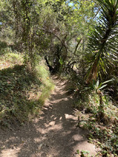 Enlarge photo 125