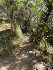 Enlarge photo 126