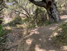 Enlarge photo 127
