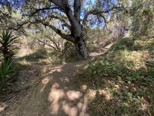 Enlarge photo 130
