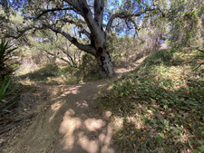 Enlarge photo 132