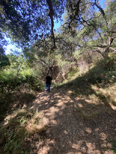 Enlarge photo 134