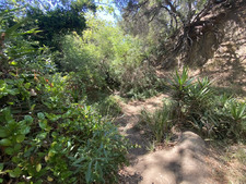 Enlarge photo 135