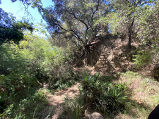 Enlarge photo 136