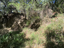 Enlarge photo 138
