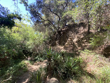 Enlarge photo 139