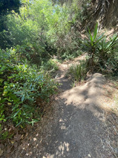 Enlarge photo 141