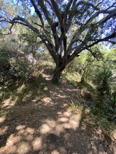 Enlarge photo 142