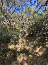 Enlarge photo 143