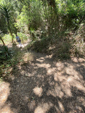 Enlarge photo 145