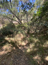 Enlarge photo 146