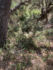 Enlarge photo 147
