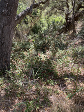 Enlarge photo 148
