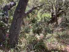 Enlarge photo 149