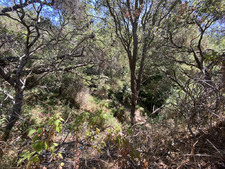 Enlarge photo 152
