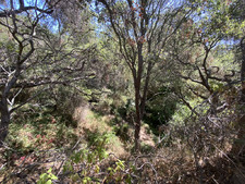 Enlarge photo 154